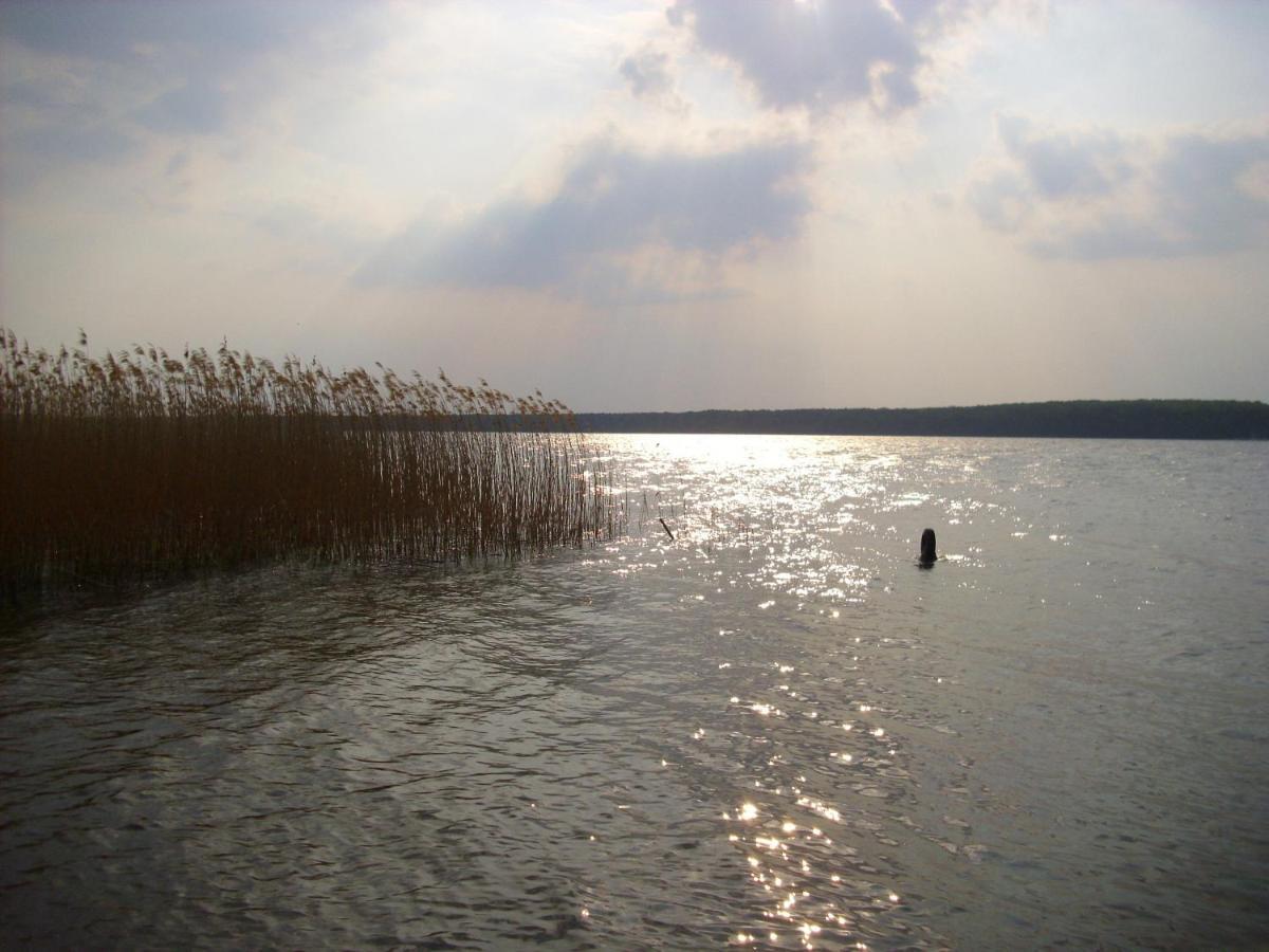 Fewoamglubigsee Wendisch Rietz Exteriör bild